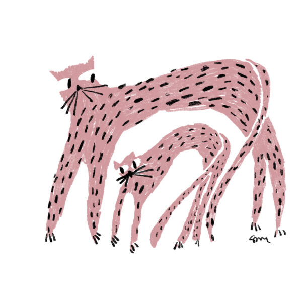 Pink Tigers